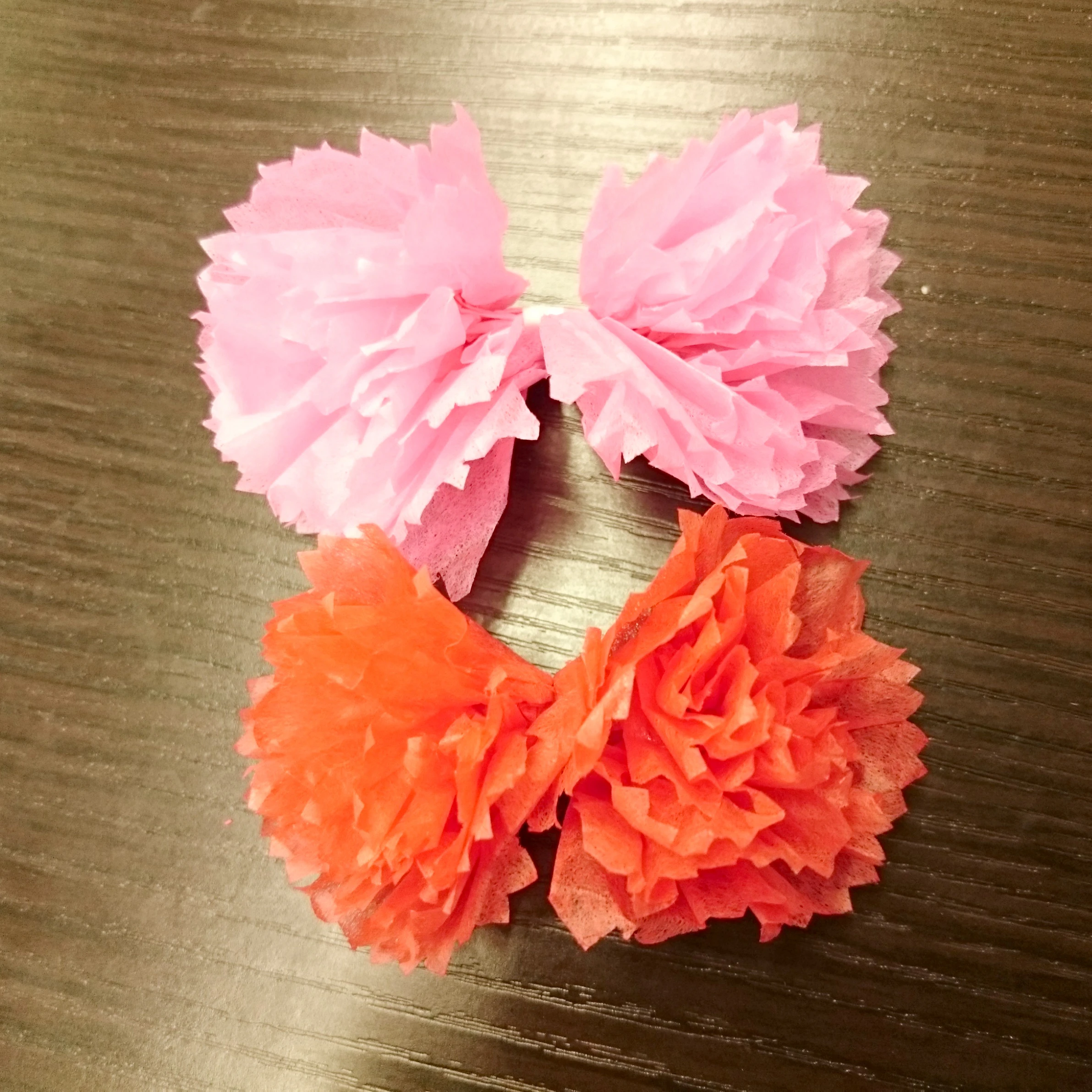カーネーション