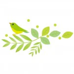 春の鳥のイラスト
