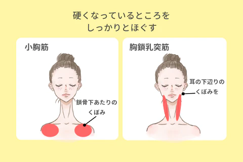小胸筋・胸鎖乳突筋をしっかりほぐす