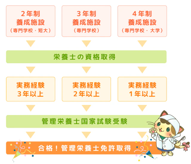 管理栄養士になるまでの流れ
