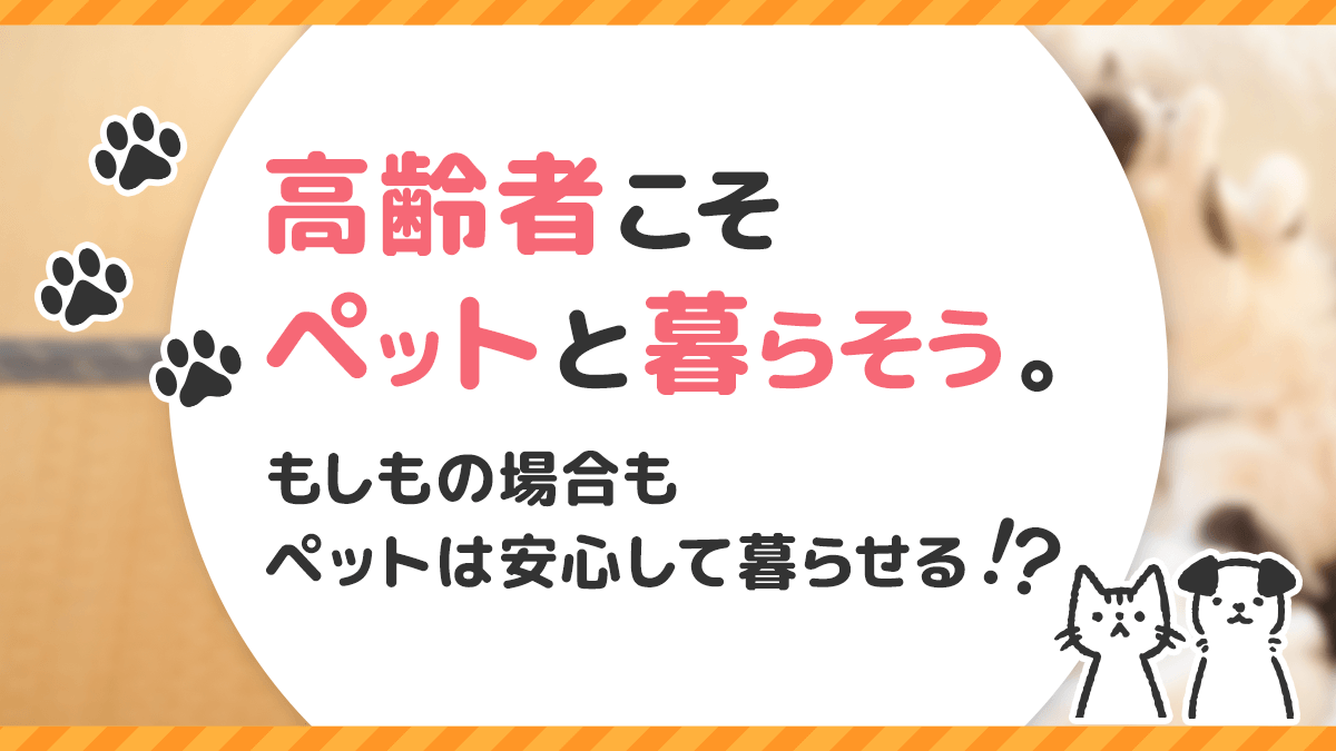 高齢者 ペット 販売 飼いきれない