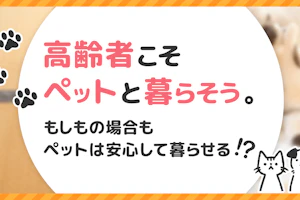 高齢者こそペットと暮らそう。もしもの場合もペットは安心して暮らせる!?