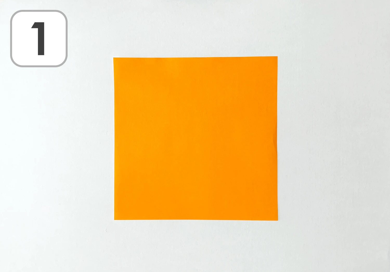 かぼちゃの折り方1