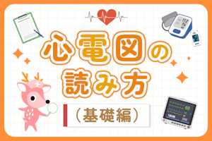 心電図の読み方(基礎編)