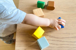 ブロックで遊ぶ子供