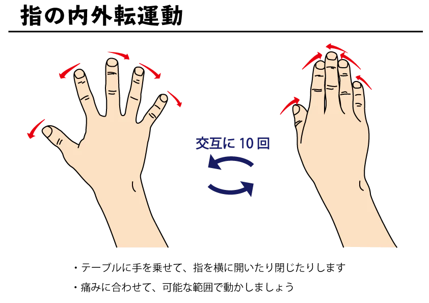 指の内外転運動の図