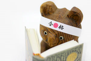 理学療法士及び作業療法士合格