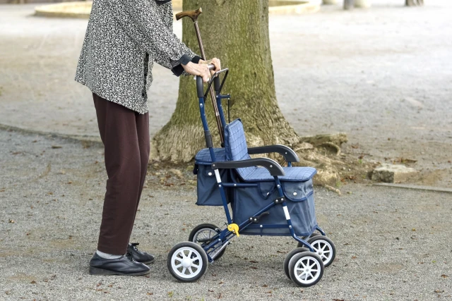 シルバーカーと高齢者