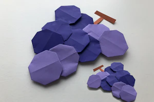 おりがみぶどう