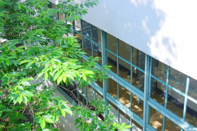 外から見た校舎内