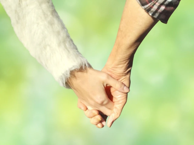 手を繋いでいる写真