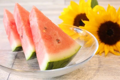 夏 保育園 食事