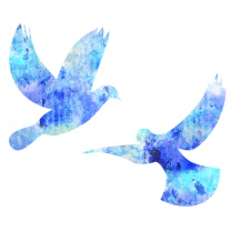 青い鳥