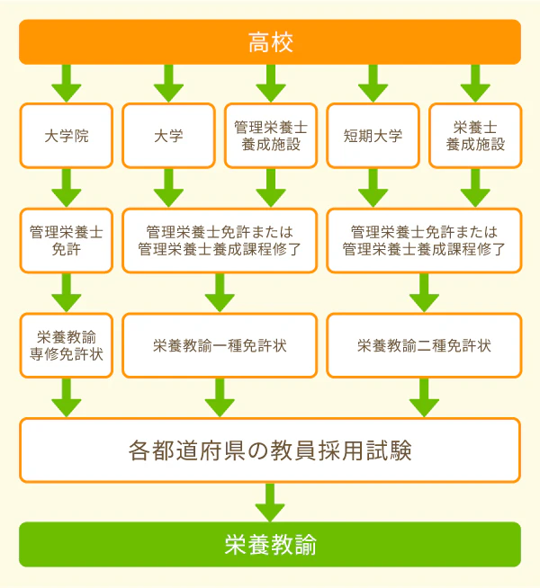 栄養教諭免許の取得方法