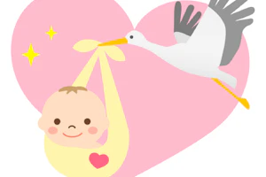 コウノトリが赤ちゃんを運んでいる