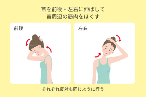 首を前後左右に伸ばすストレッチ