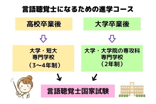言語聴覚士になるための進学コース図解.jpg