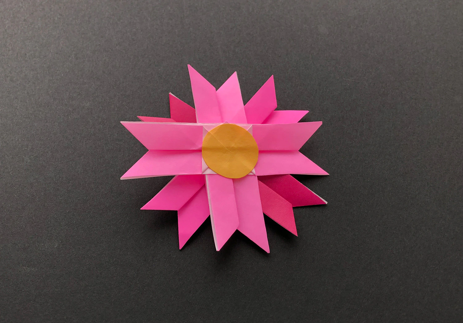 おりがみコスモス