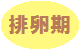 排卵期