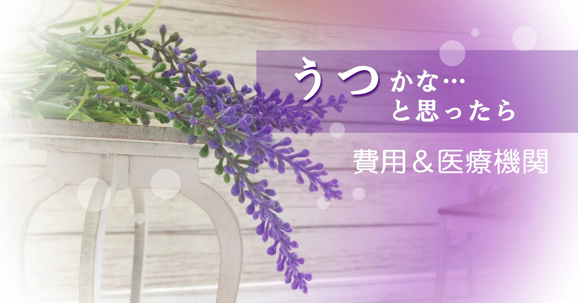 ラベンダーの写真