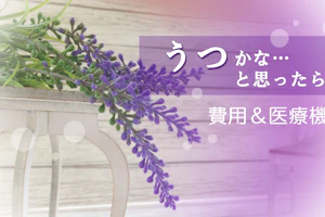 ラベンダーの写真