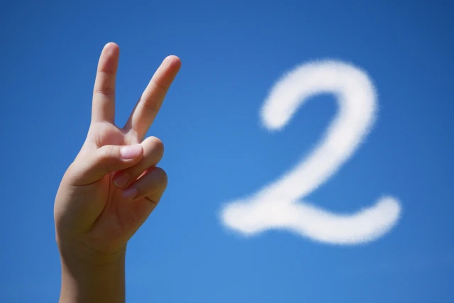 ２を示す手