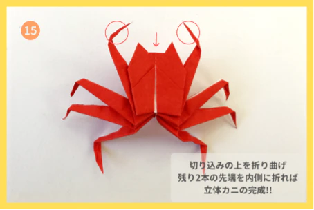 ⑮切り込みの上を後ろ側に折り、上の２本の足を内側に折ってカニの完成