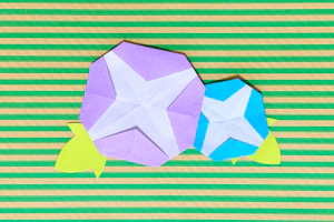 おりがみ朝顔
