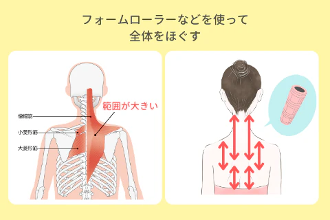 背中全体(僧帽筋全体)をほぐす