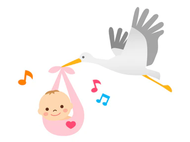 コウノトリが赤ちゃんを運んでいる