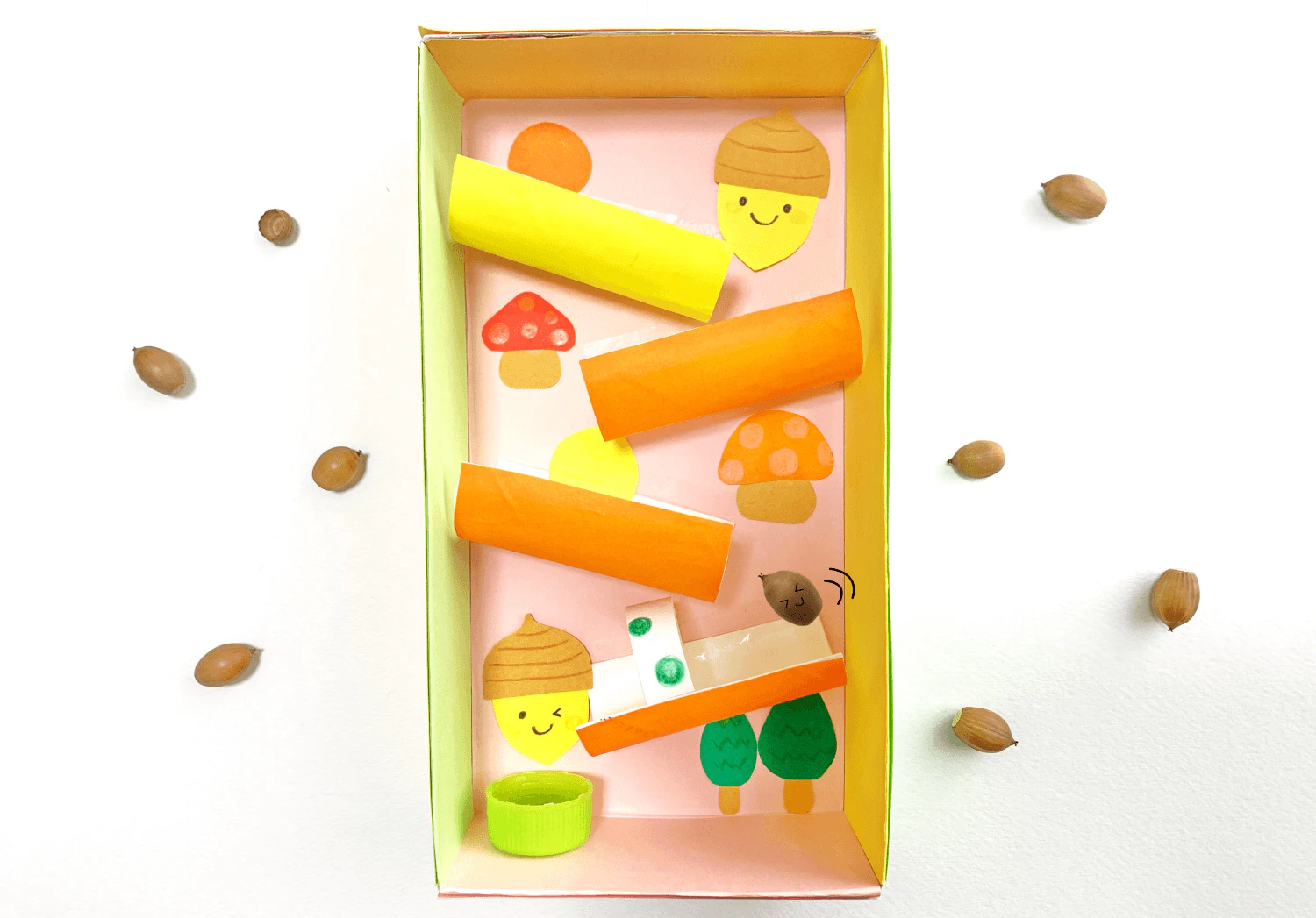 コロコロどんぐり