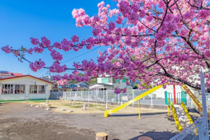 環境構成とは|保育における4つの要素や考慮のポイントを解説