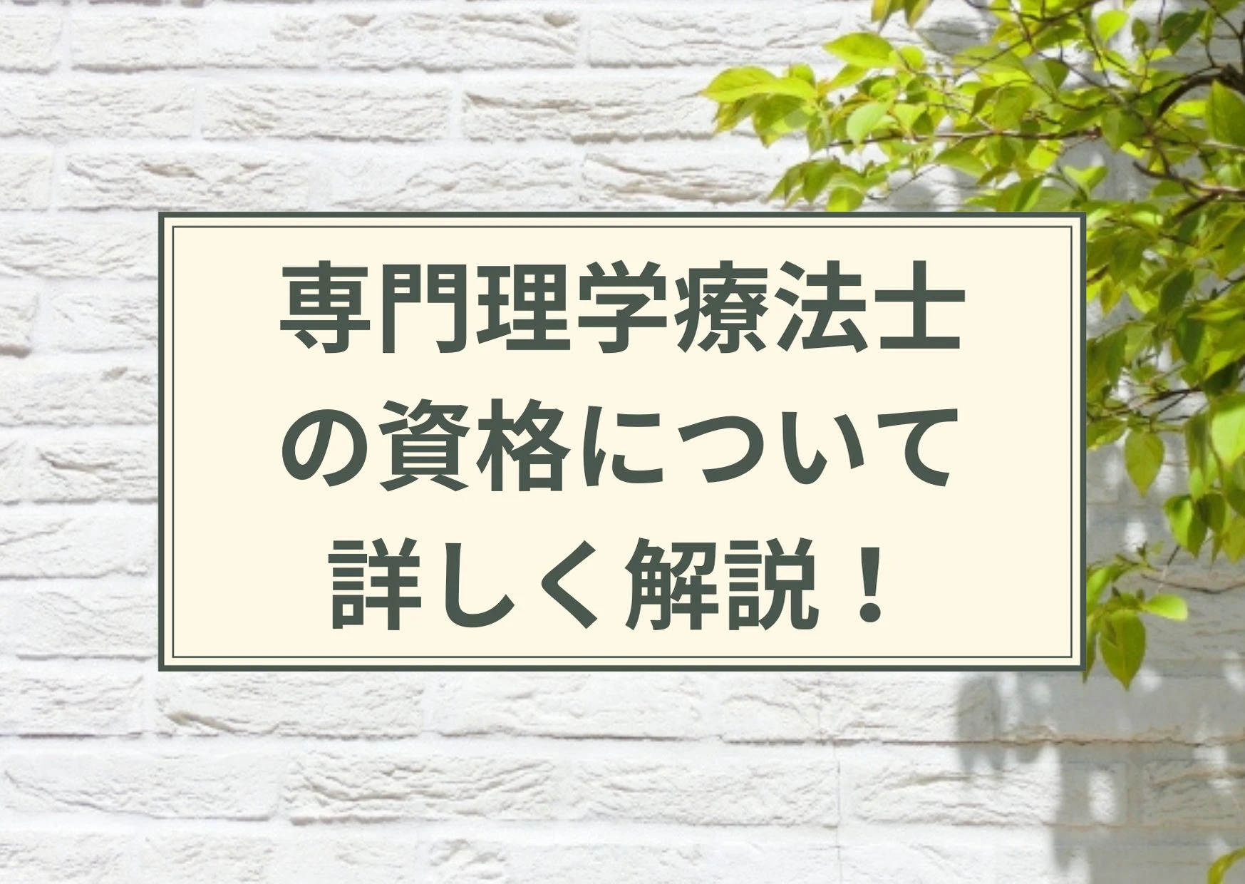 専門理学療法士の資格について解説