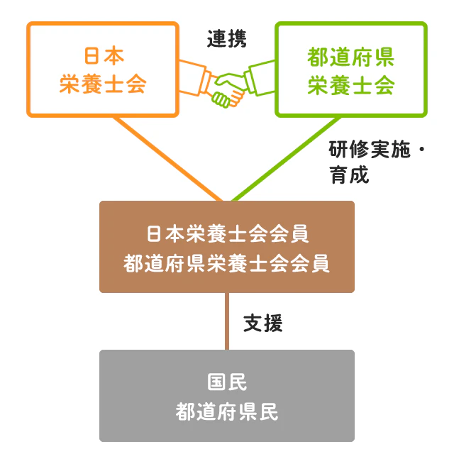 栄養士会　仕組み図