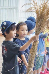 子どもの写真