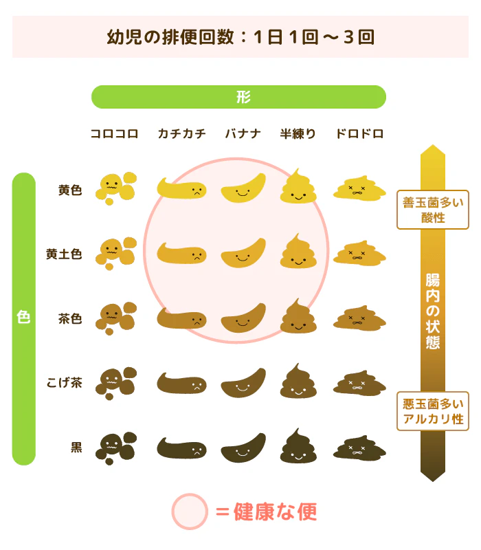 うんちチャート