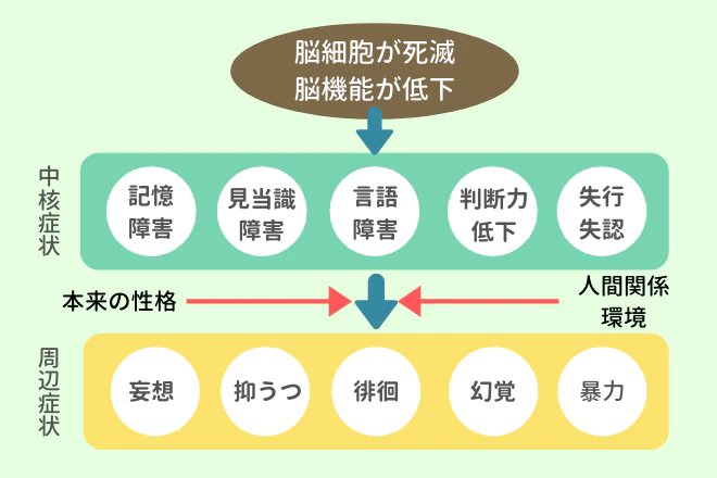 認知症の中核症状と周辺症状の関係性