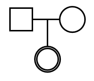 ジェノグラム記号4
