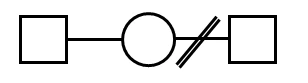 ジェノグラム記号7