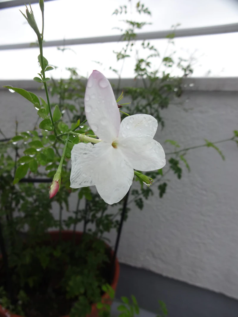 dsc01899