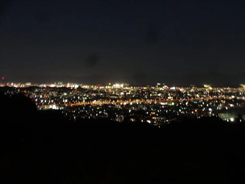 DSC05262