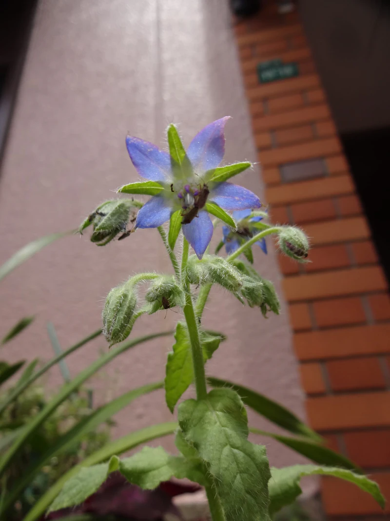 DSC03806