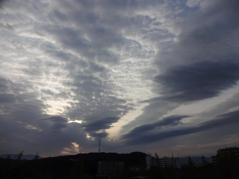 DSC02759