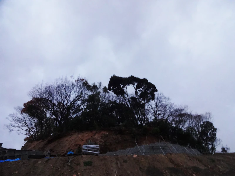dsc02481