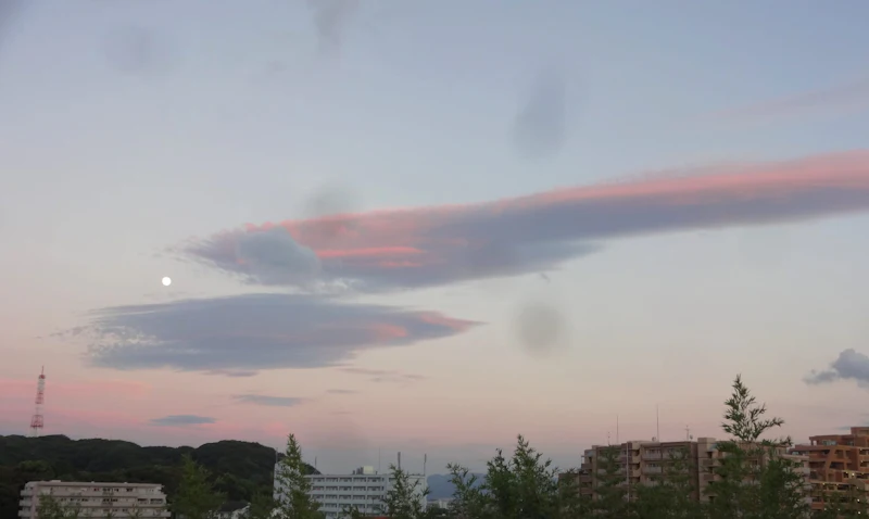DSC05162 (1)