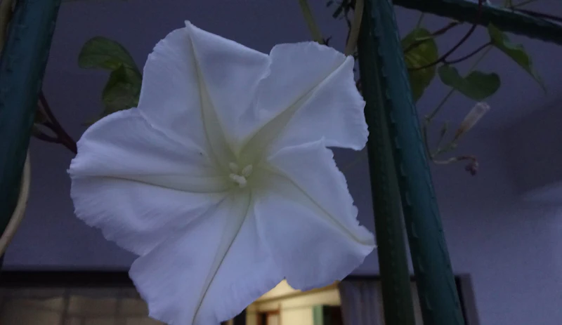 DSC04082