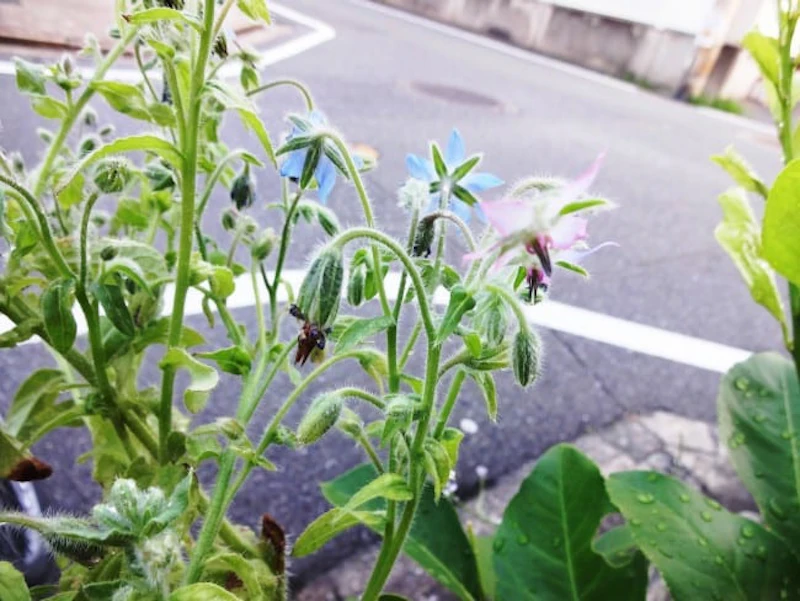 DSC01426