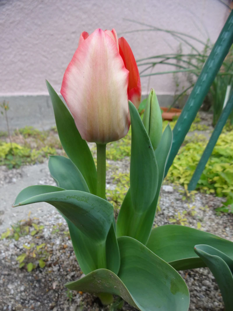 DSC02943