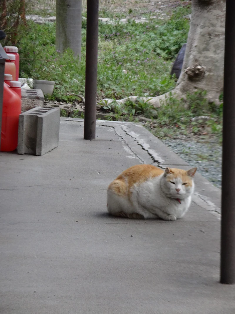 DSC03031