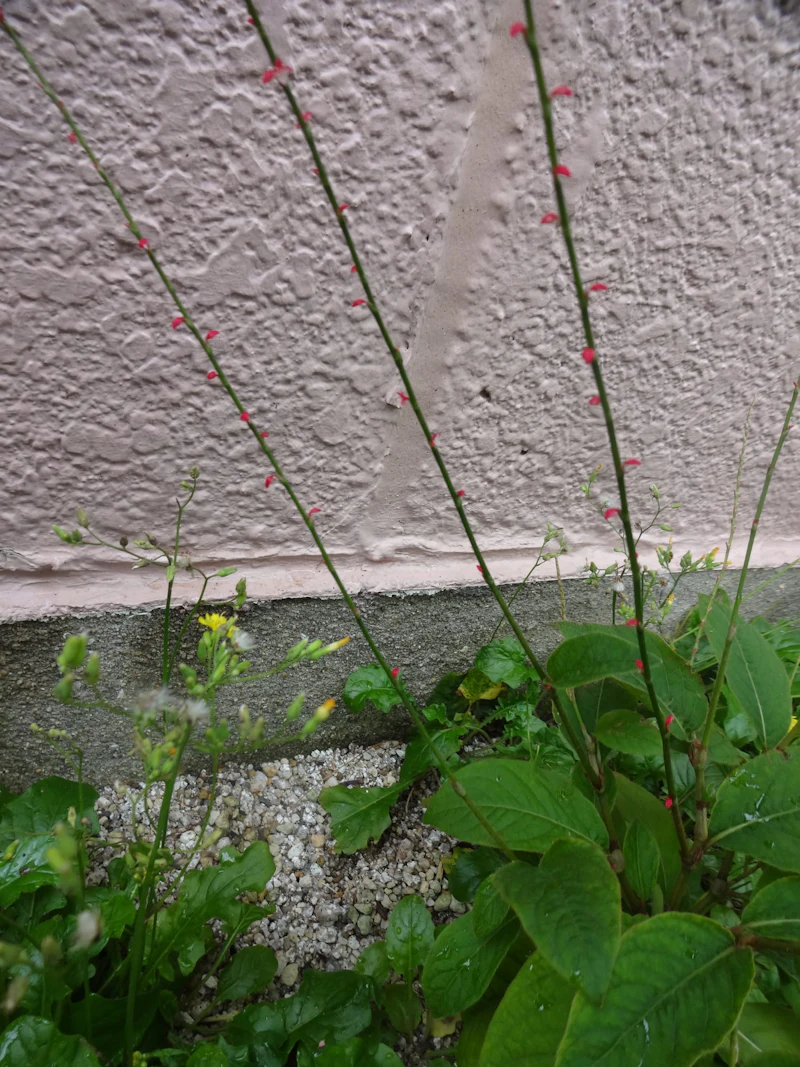 dsc01860
